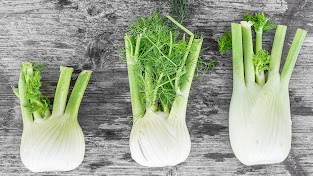 Fennel Fruit